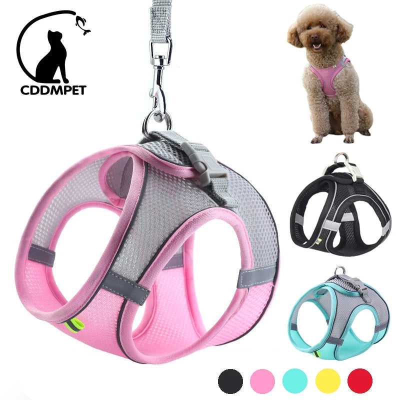 Pet Walk Elite: conjunto de arnês e trela ajustáveis ​​para cães e gatos pequenos 